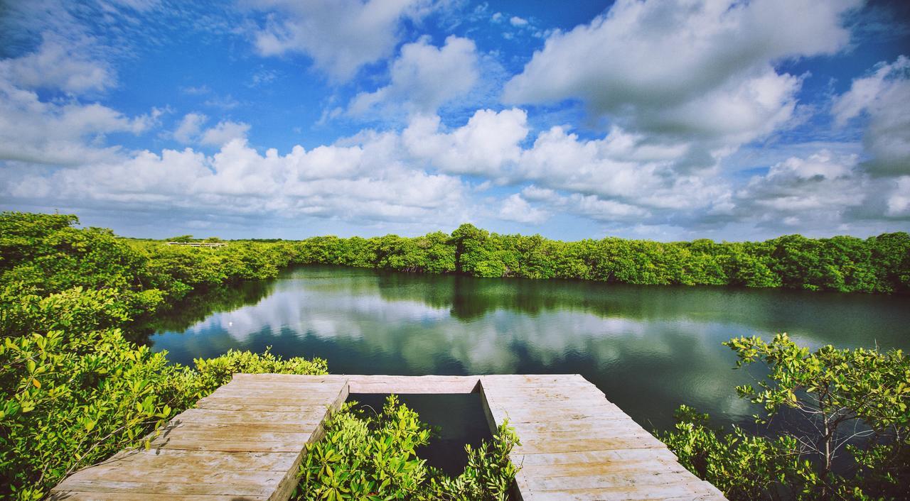 Готель Nativus Glamping & Cenote Тулум Екстер'єр фото