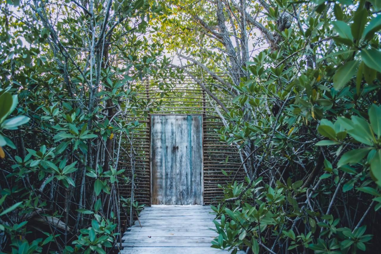Готель Nativus Glamping & Cenote Тулум Екстер'єр фото